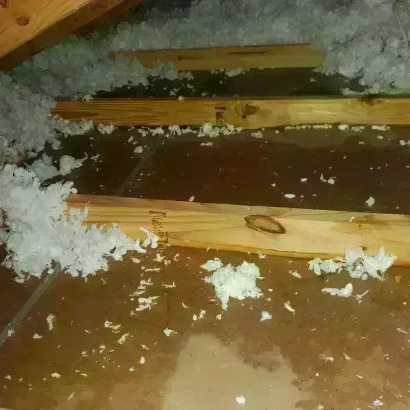 Attic Water Damage in Samsula-Spruce Creek, FL