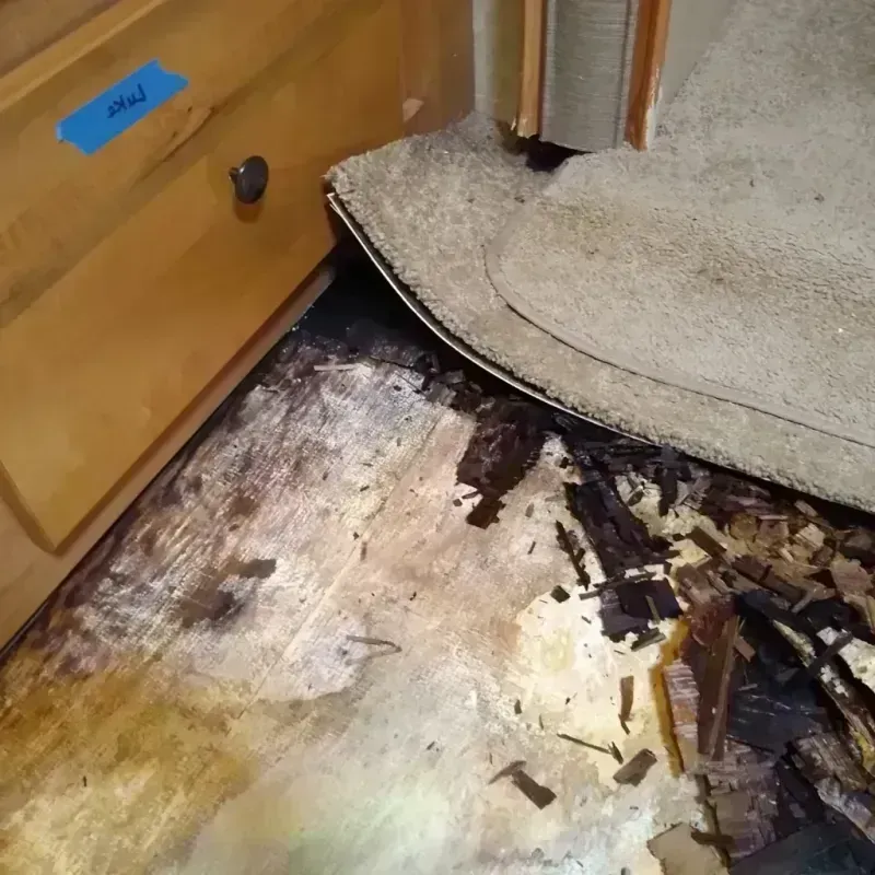 Best Wood Floor Water Damage Service in Samsula-Spruce Creek, FL